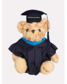 Graduation Bear (Bachelor's Degree)